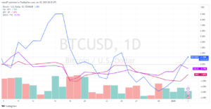 Bitcoin és részvény árfolyam az év végén